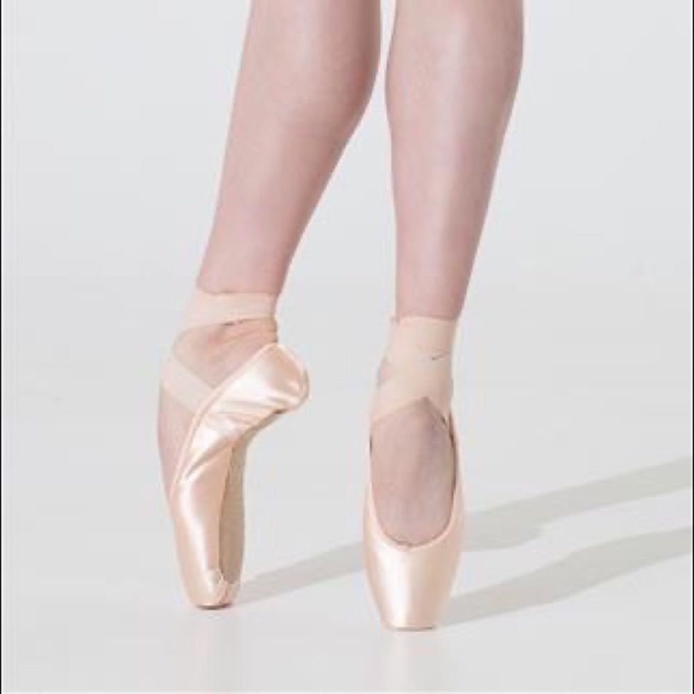 Nikolay/grishko super triumph point shoes bran new